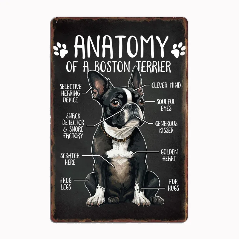 

Anatomy Of A Boston Terrier Dog Poster Metal Sign Club Custom Bar Bedroom Indoor Decor Posters Home Wall Decor Room Decoration