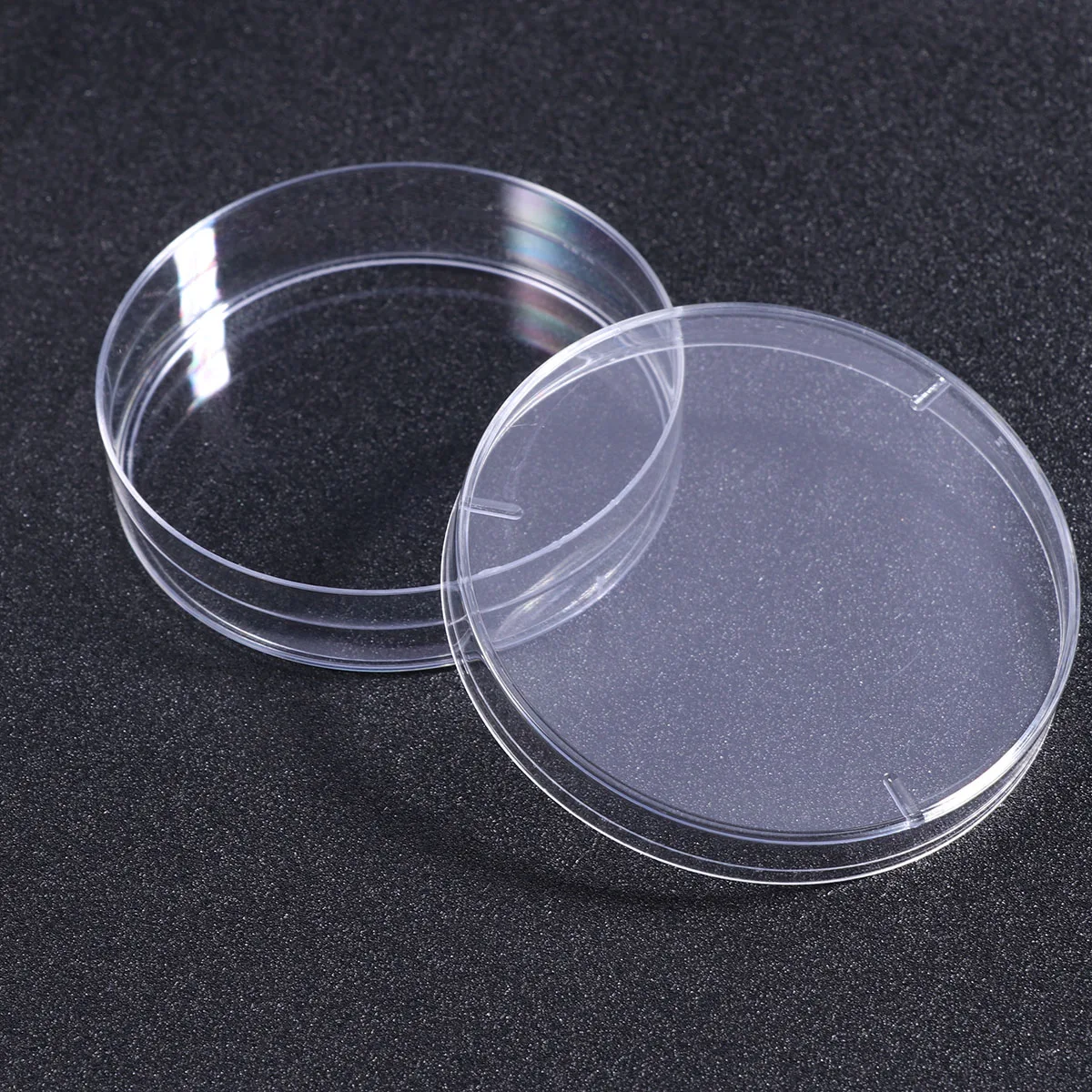 

20 PCS Petri Dish Reusable Specimen Cups with Lids Culture Small Dishes Ceramics