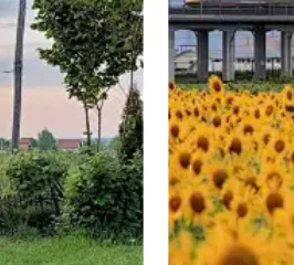 For Toyota MR2 Mr 2… - image