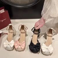 French Style Square Head Thick Heel High Heels Women's Sandals 2025 Spring New Fairy Style to Match Skirts Mary Janes Single Sho
