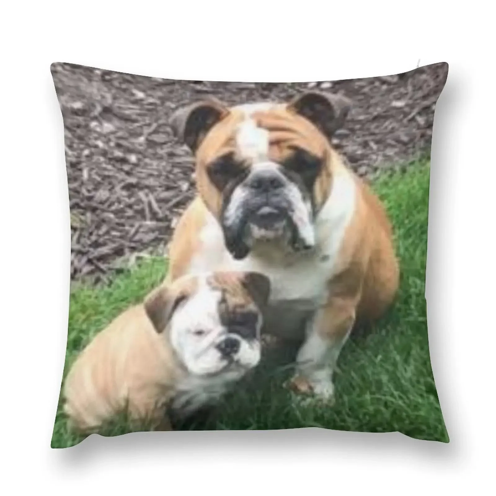 

Winston Throw Pillow Anime Cushions Cover Christmas Cushion For Home pillow