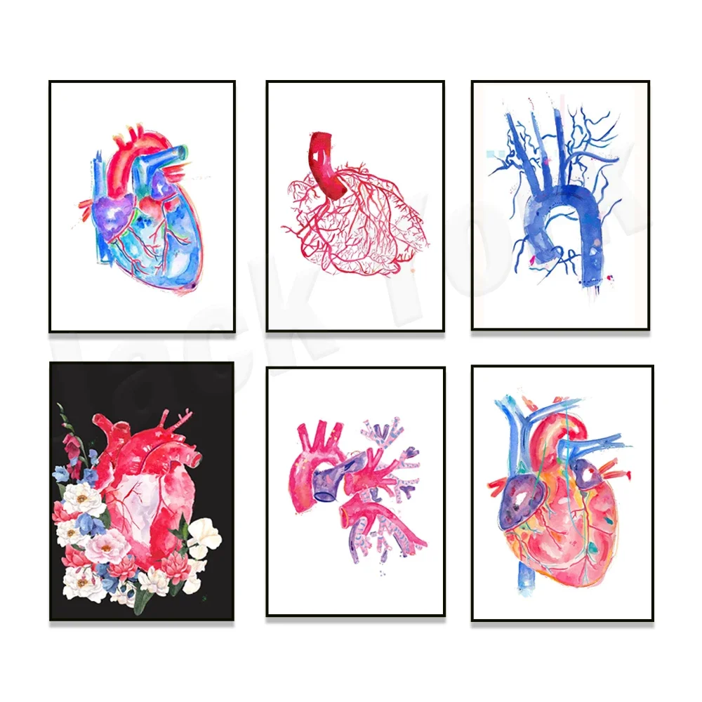 

Heart anatomy watercolor poster, coronary artery bypass surgery cardiology, aorta, heart vascularization art, cardiologist gift