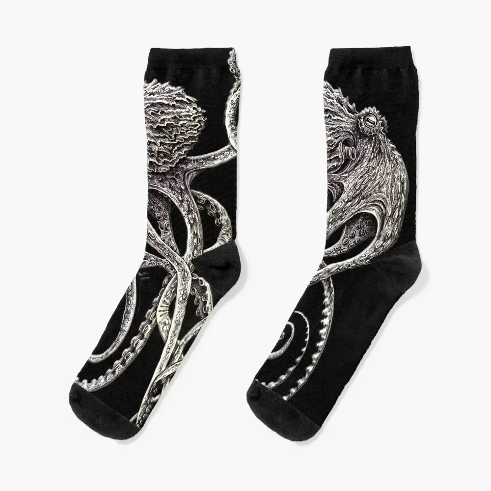 Cephalopods Socks professional running christmas gift with print cotton Socks Female Men's