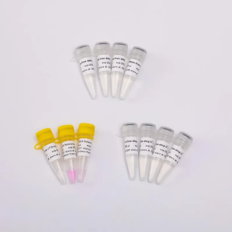 One-step Probe RT-qPCR Kit - 0.1 pg Sensitivity, UDG | GDSBio