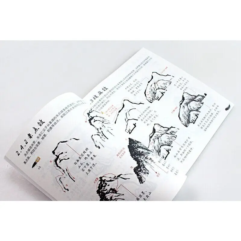 Beginners Learn Chinese Painting Big Character And Large Version Livres Kitaplar