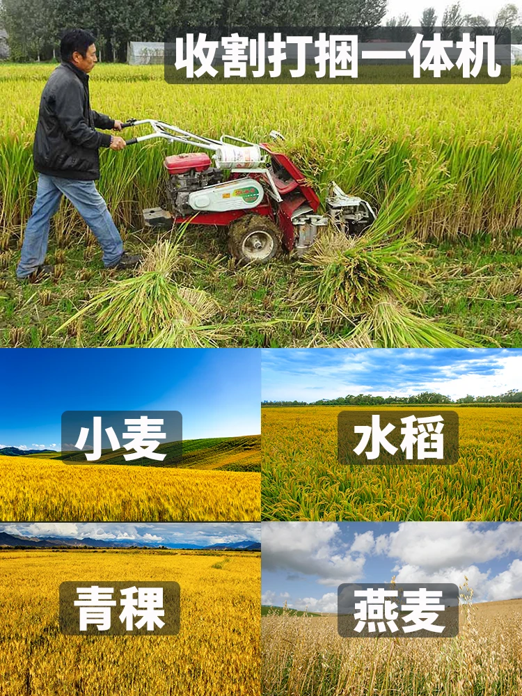 

Small diesel gasoline hand-push full-automatic highland barley, wheat and rice agricultural harvesting and bundling machine