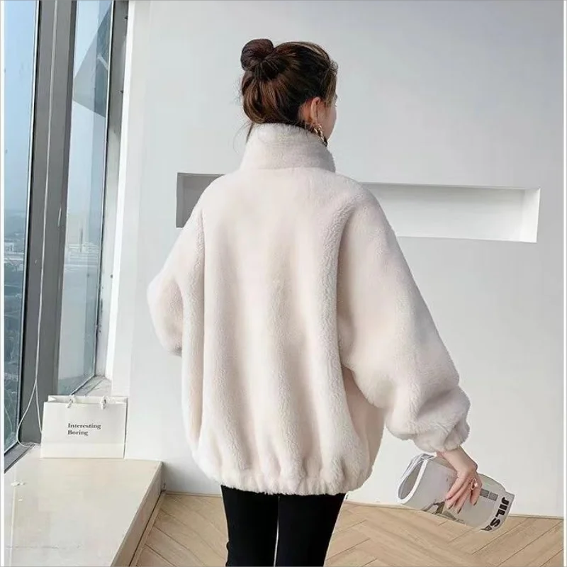 Korean Sweet Hot Girl Plush Zipper Coat for Women's Winter Loose/Warm Stand Collar Jacket Fashion Female Clothes