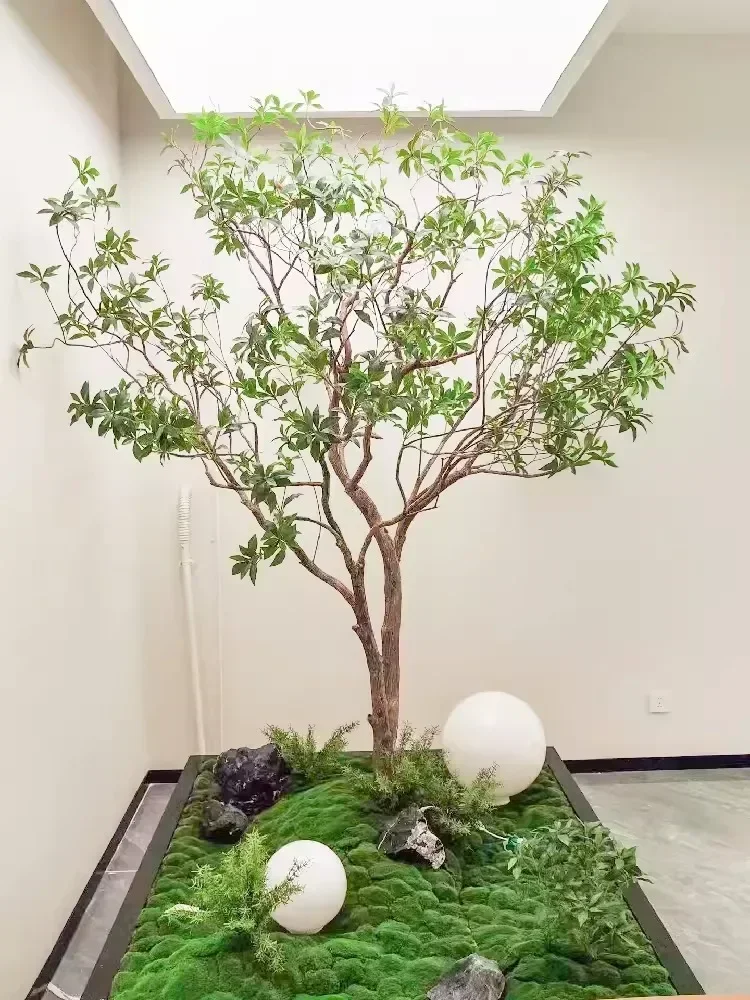 

Simulation Landscaping Decorative Tree Of Pieris Equisetifolia