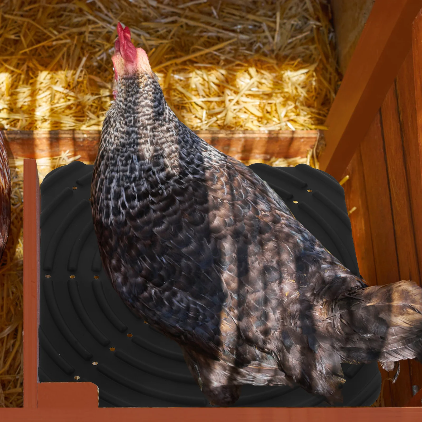

Eggs Silicone Pet Pad Washable Chicken Nesting Pads Coop Mat for Reusable Black