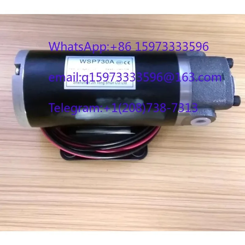DC12V DC Motor ROP-12AM & 220V Lubricating Oil Pump, WSP730A Triangular Cycloidal Rotor Pump for Machinery Lubrication Needs