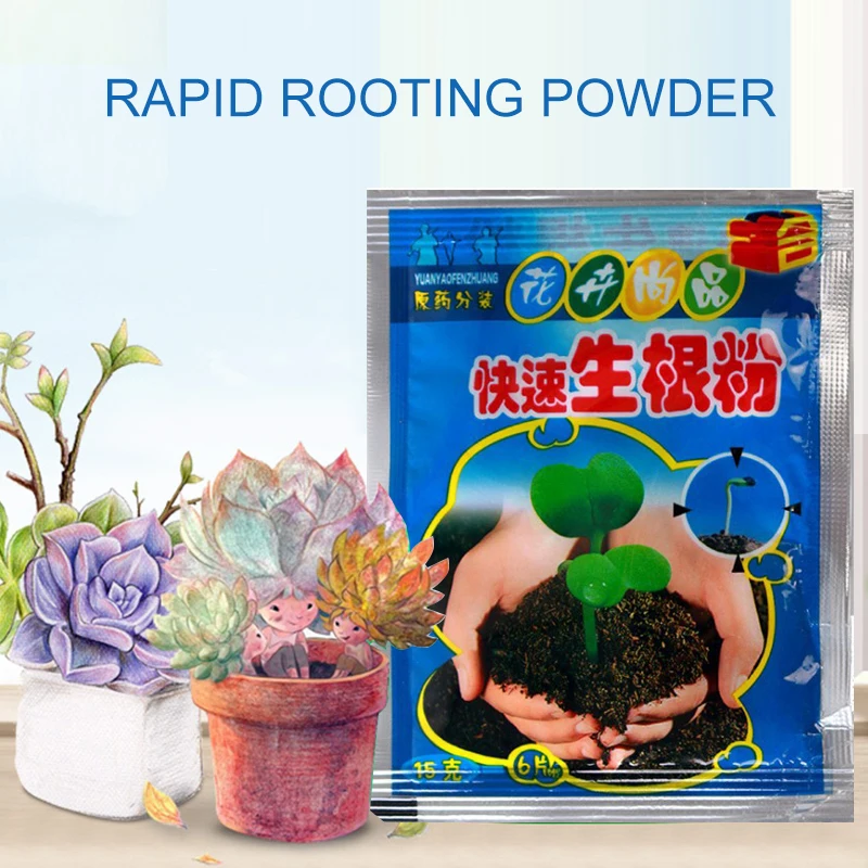 5 szt. Szybki Proszek do Zacin – Rooting Hormone Powder recenzja i cena