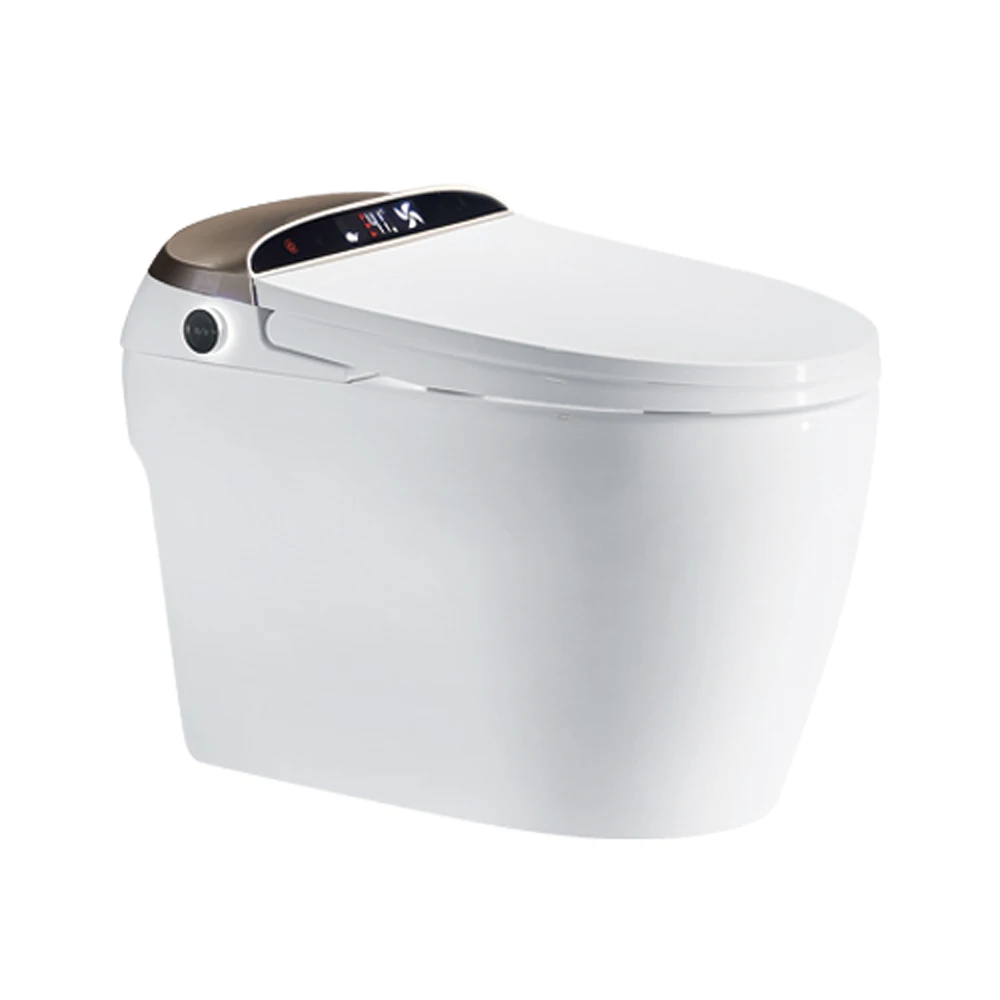 

Western gold wall hung intelligent toilet