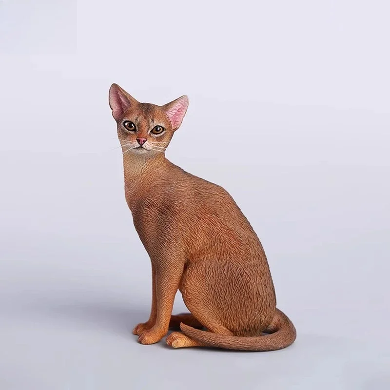 1/6 Abyssinian cat model, simulated cat ornament desktop
