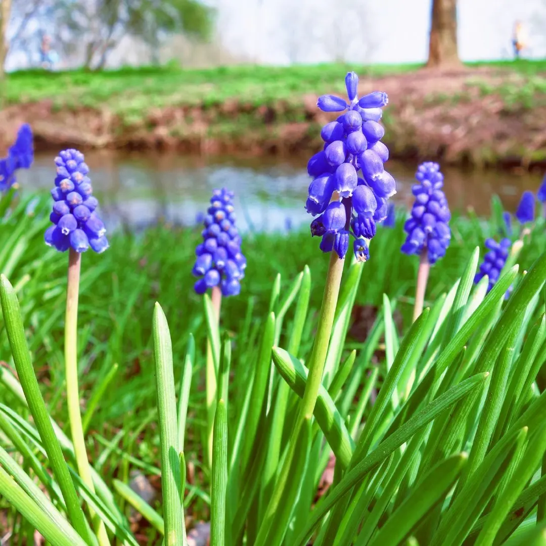 

4 шт. шестигранные резиновые шины, колеса для SCY 16101 16102 16103 Pro MJX Hyper Go 14210 16210 1/14 1/16 RC Monster Truck Upgrade