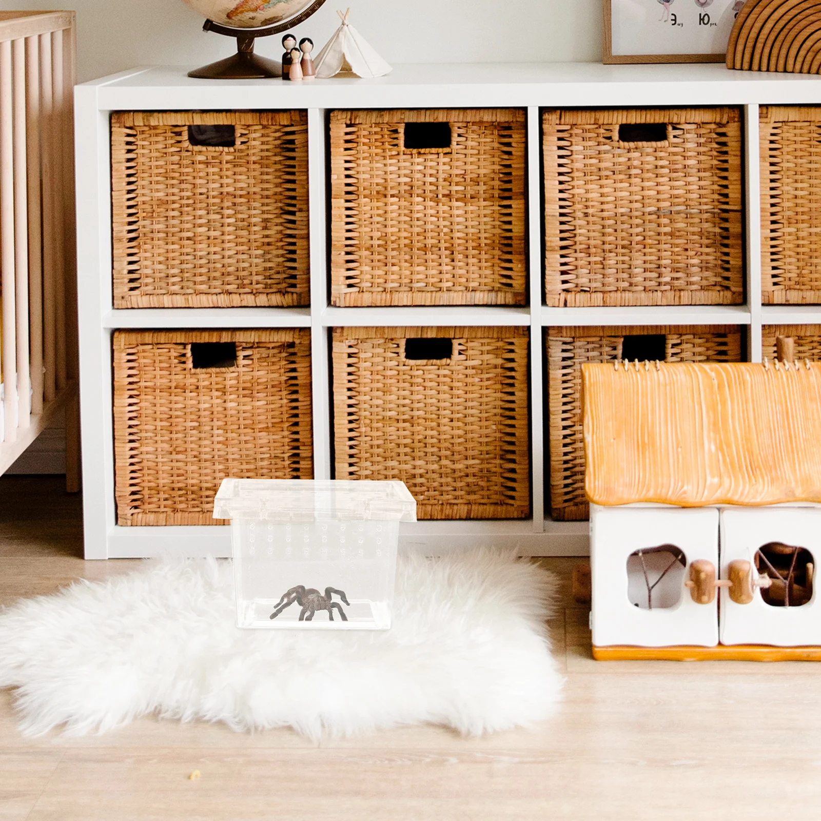 

Insect Feeding Clear Reptile Breeding Container Ventilated For Turtle Spider Snake Scorpion Hermit Crab Pet