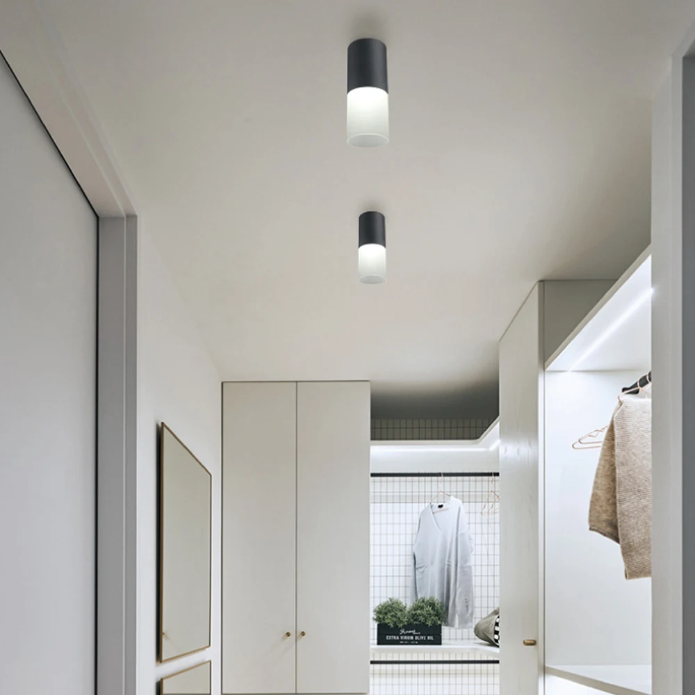 Puchen LED Acrylic Indoor Spot Light Bedroom Dining Room Lighting Home Decorative Lamp Living Room Study Downlight Ceiling