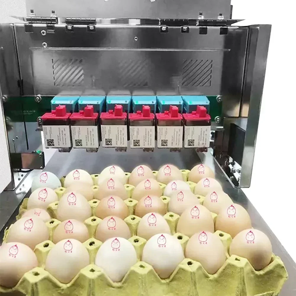 factory price Full-Automatic Six-Nozzle Whole Plate Egg Coding Machine Edible Ink Manufacturer Duck Egg Eggs Inkjet Printer