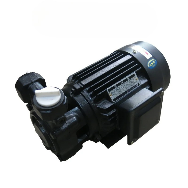 Pompa pusaran boiler Pompa air 1100W port 1 inci