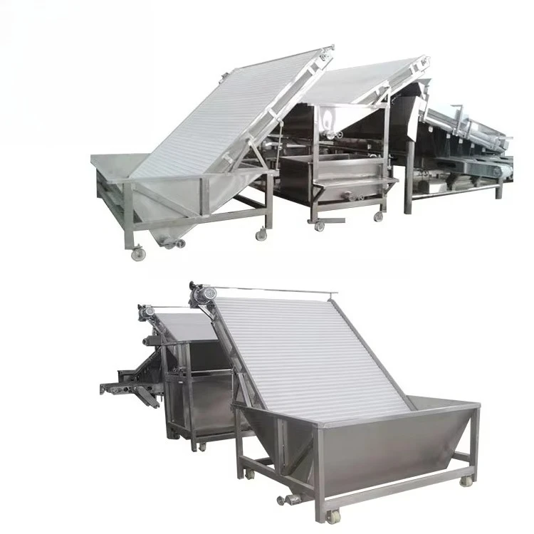 Picture 5: Industrial crayfish and shrimp processing machine - cleaning, sorting and grading machine equipment