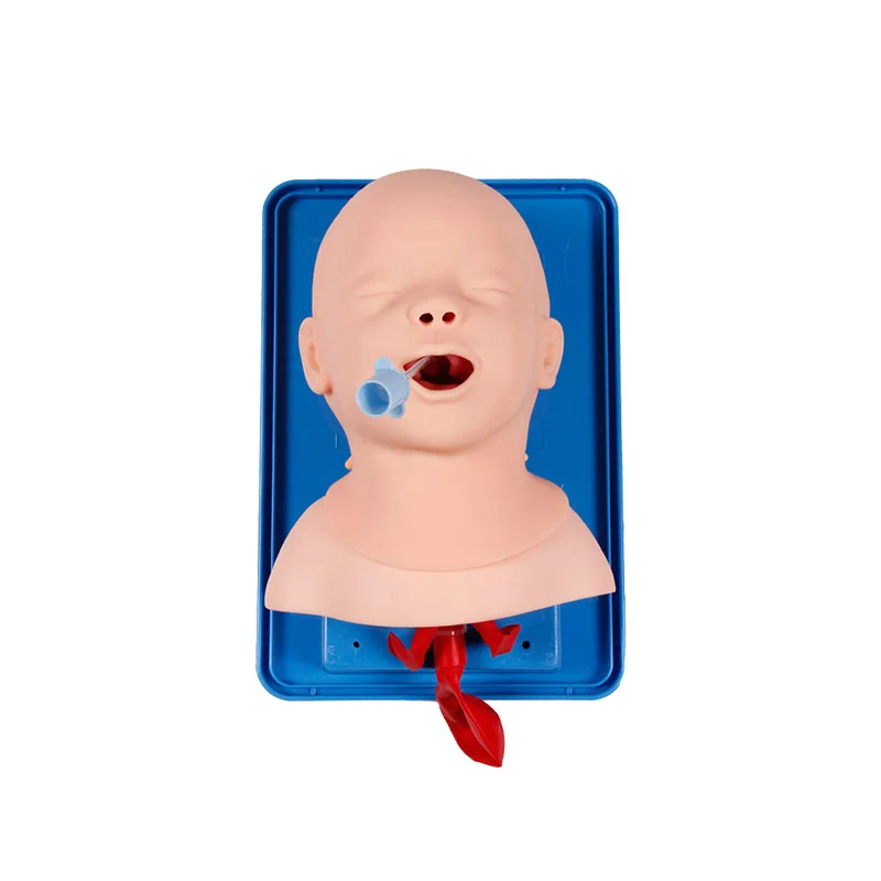 

Newborn/infant Nasotracheal Intubation Model, Dobutamine Transanal Intubation Simulator, Oral and Nasal Cavity