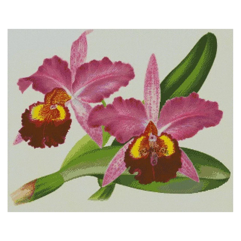 

Amishop Top Quality Hot Selling Beautiful Lovely Counted Cross Stitch Kit Iris Butterfly Orchid Flower Irises Purple Flowers