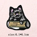 PE13168CT