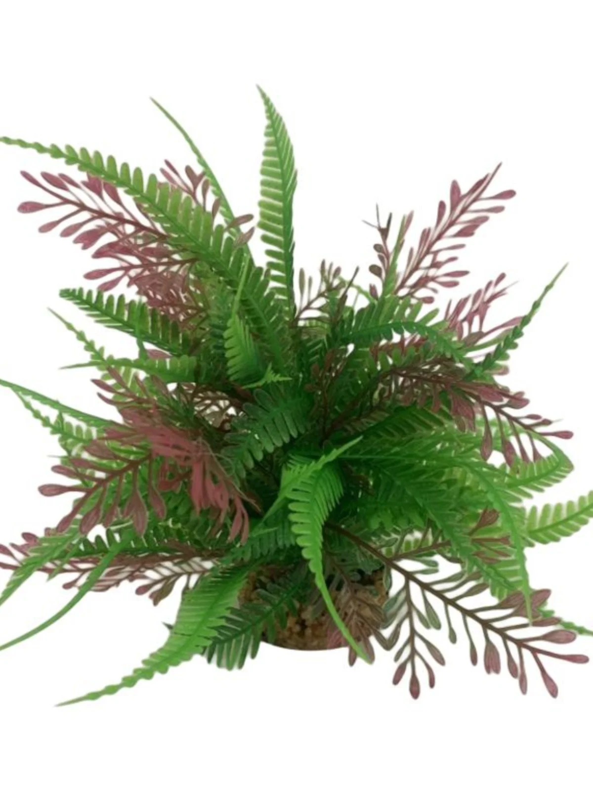 

Easy to Maintain Plastic Ferns Artificial Aquatic Plants Decorative Accessories for Fish Tanks Small Ornamental Aquatic Scenery