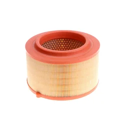 AB39-9601-AB AB399601AB Auto Engine Air Filter for Ford Ranger 2.2L 3.2L 2011-