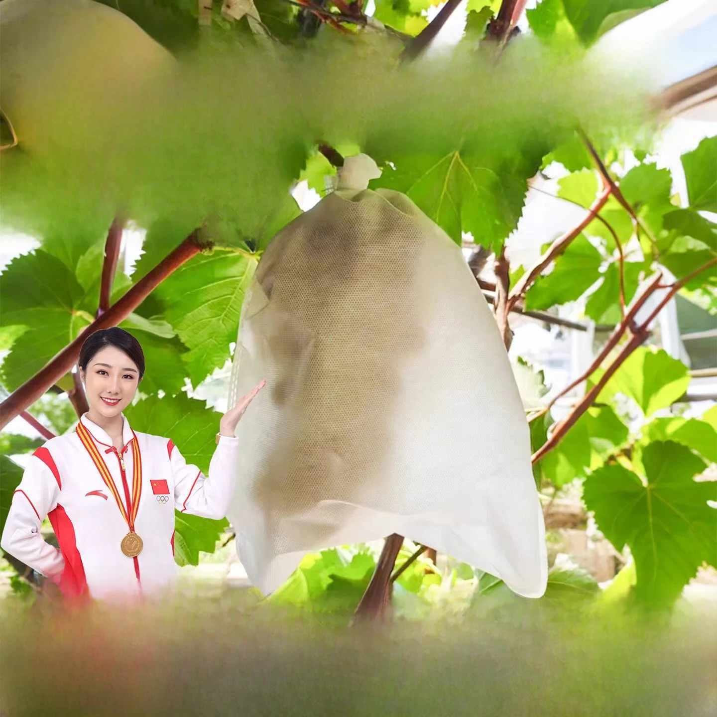 grape-special-bagging-non-woven-fabric-fruit-bag-bird-proof-pest-control-grafting-specific-bag-for-fruits-and-vegetables