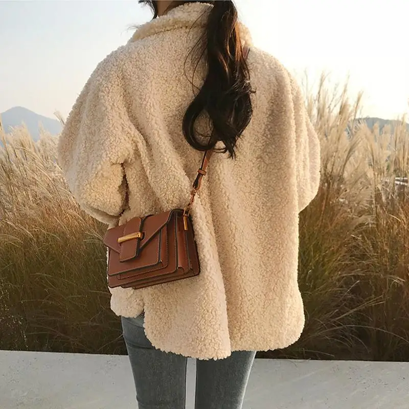 Lamb Fur Coat Women\'s Winter Thick Jacket Artificial Lamb Wool Sweatshirt Warm Cardigan Loose Casual Coats Fall American Vintage