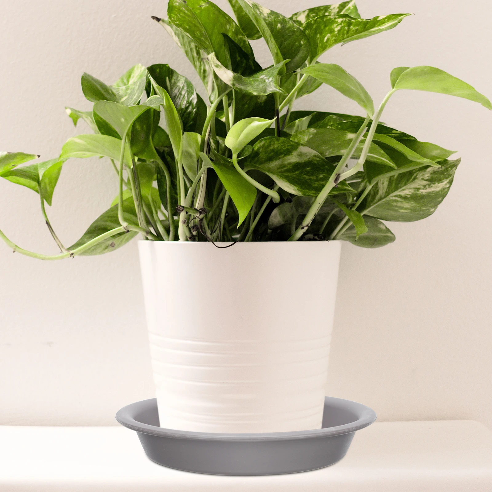 

Flower Pot Tray Planter Base Drip Trays Planting Water for Indoor Plants Flowerpot Saucers