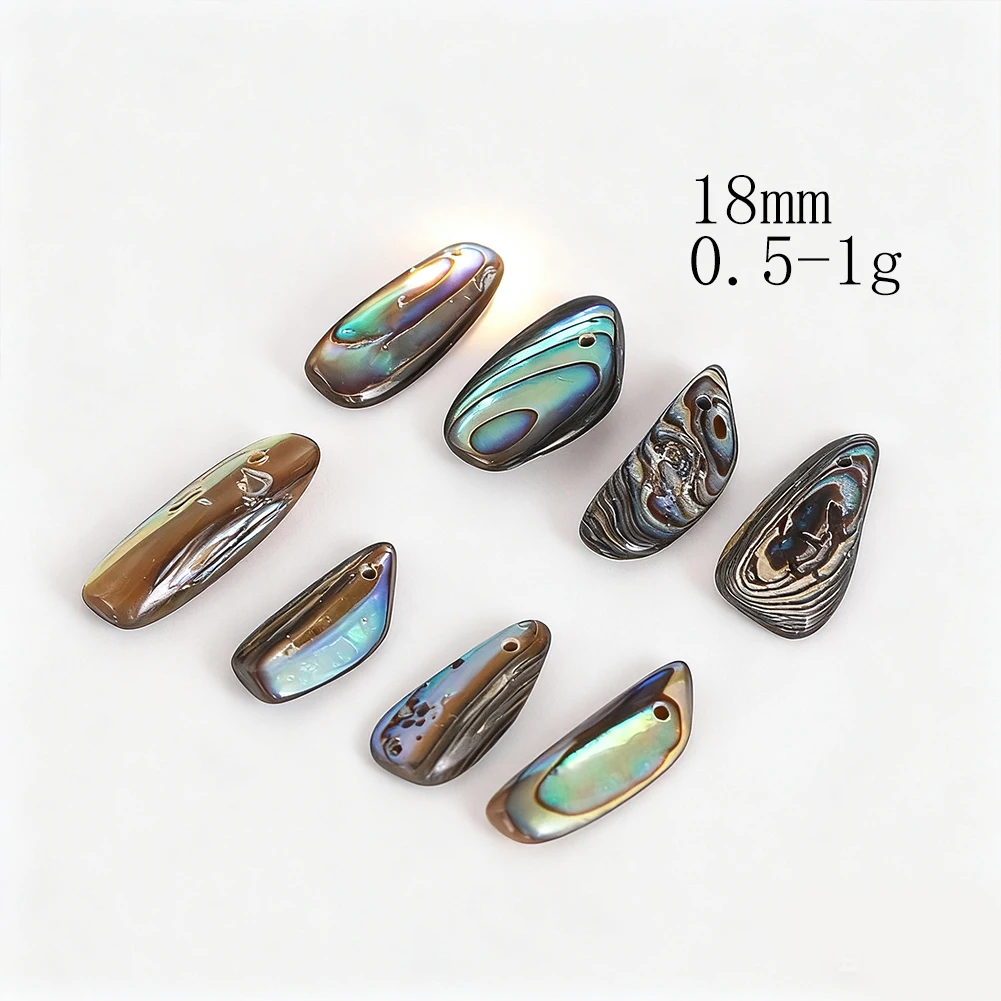 6pcs Natural Abalone Paua Shel - Jewelry Making New Zealand 评论和价格