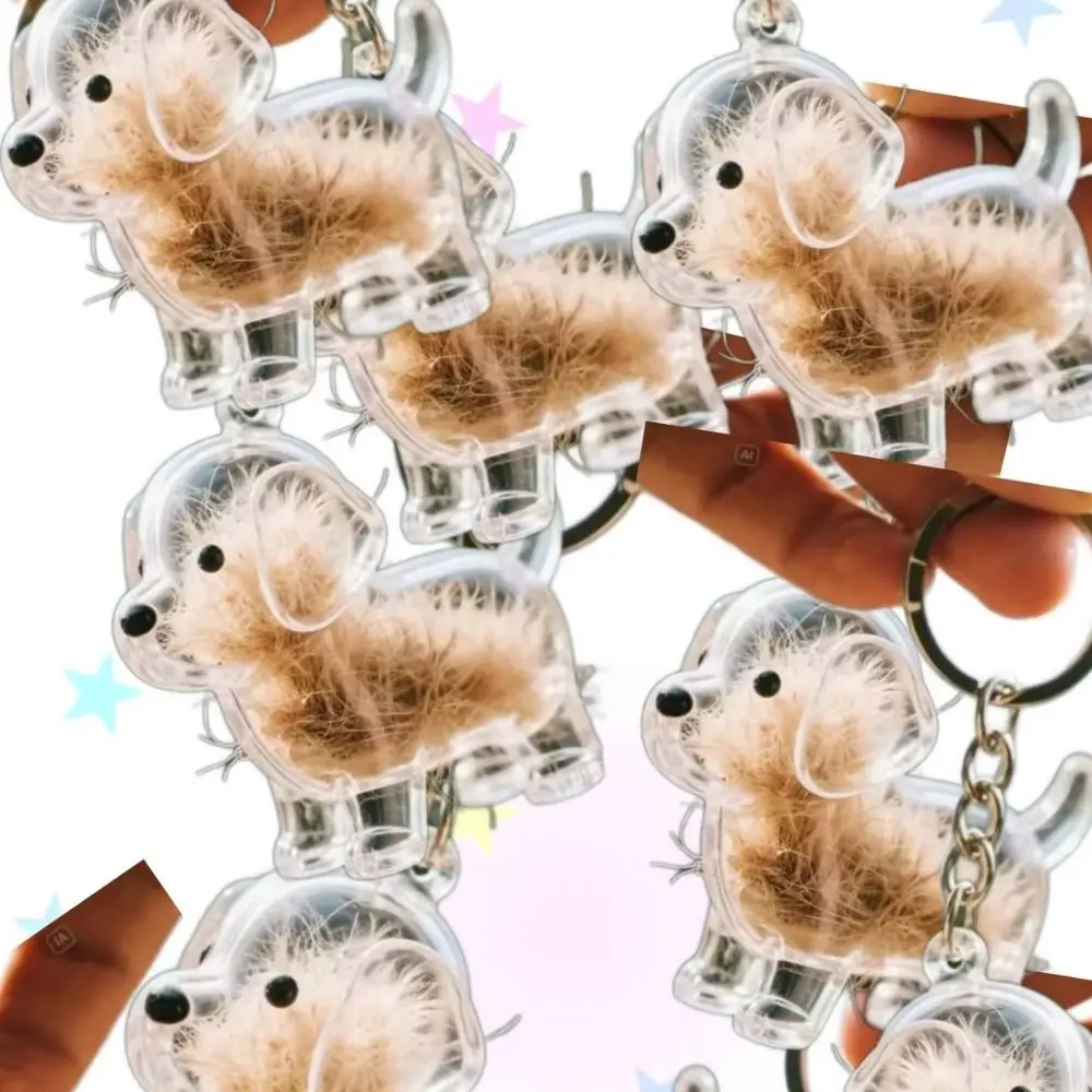 

Cute Pet Hair Storage Box Dog Hair Collector Keychain Ornament Transparent Hair Storage Container For Pet Lovers Pet Souvenirs
