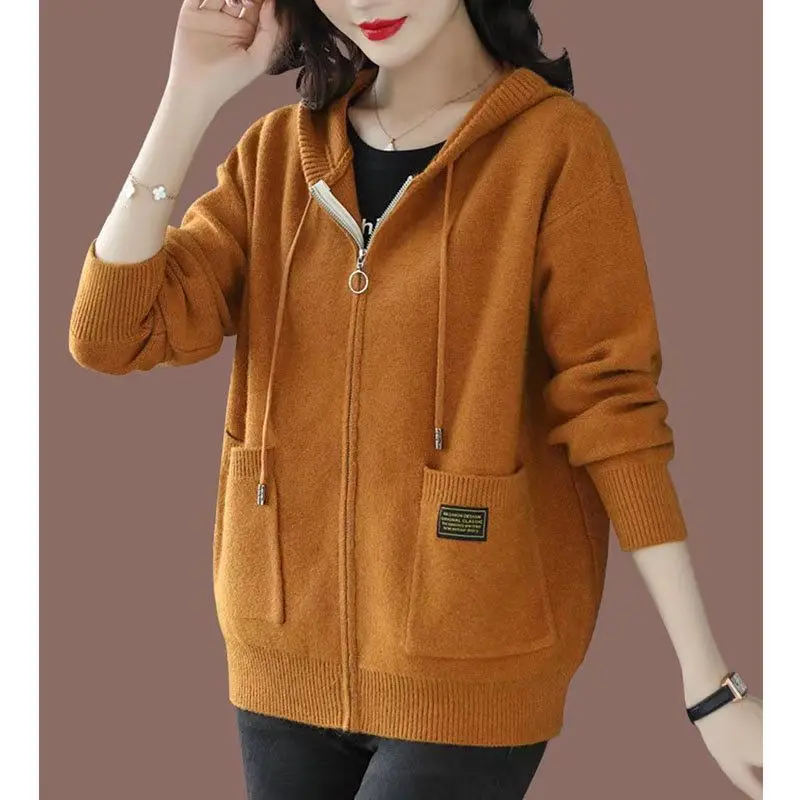 Solid Color Hooded Wool Knitted Cardigan Women 2024 Spring Clothes Loose Sweater Long Sleeve Tops Zipper Knitwears Coat