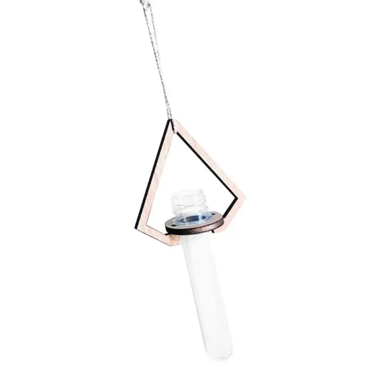 652F Wall Propagation Tube with Hanging Cord and Wooden Frame for Indoor Plant Display in Living Room or Office Use