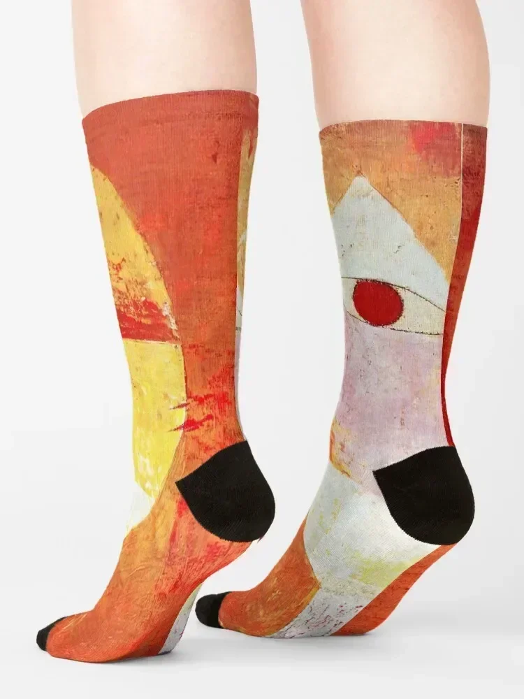 Senecio Socks aesthetic funny gift sheer japanese fashion Designer Man Socks Women's