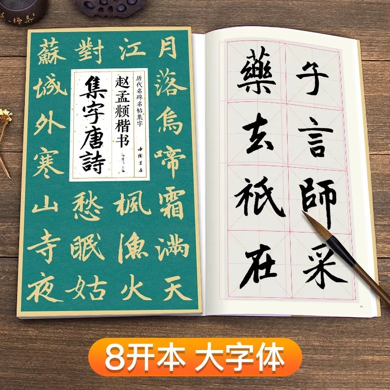 Zhao Mengfu Regular Script Calligraphy Book: Tang & Song Poetry Copybook for Beginners, Chinese Brush Writing Practice
