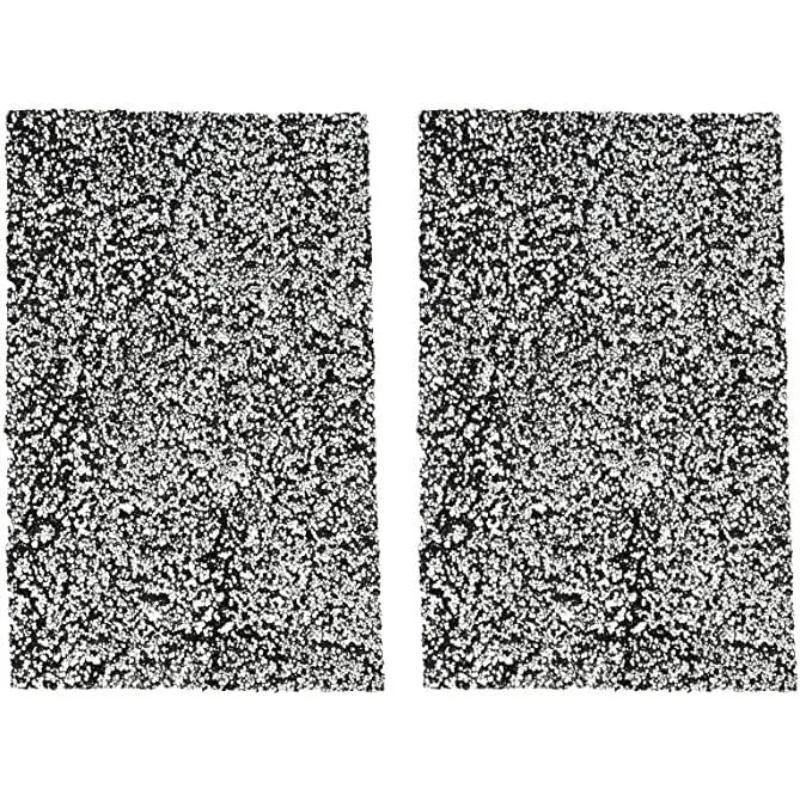

ARC-CF-12S Filter Replacement for Portable Air Conditioner Model ARC-12S ARC-110WD ARC-131GD, 1 Count (Pack of 2), Black