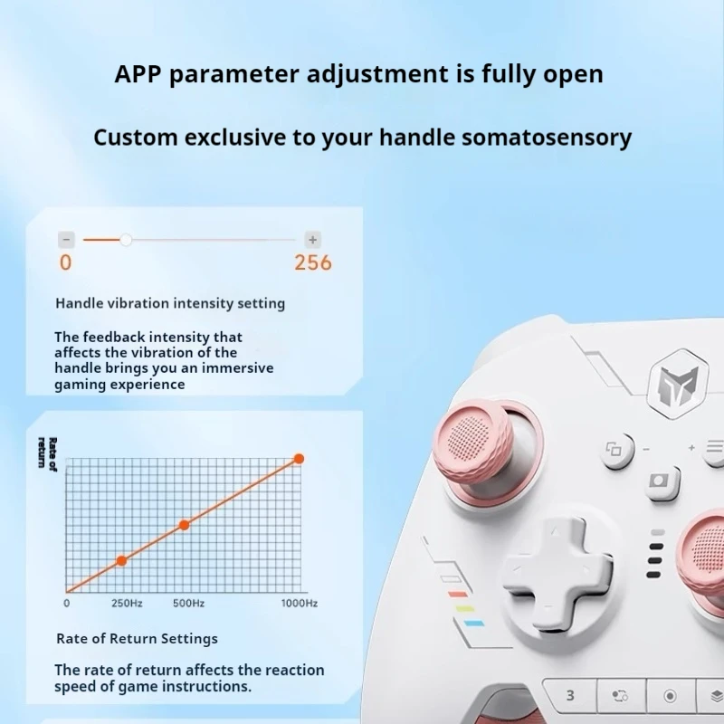 Bigbig Won 2 Se Youth Edition Game Controller Pc Computer Edition Steam Ns Wireless Bluetooth Xbox Handle Apex Black Myth Wukong