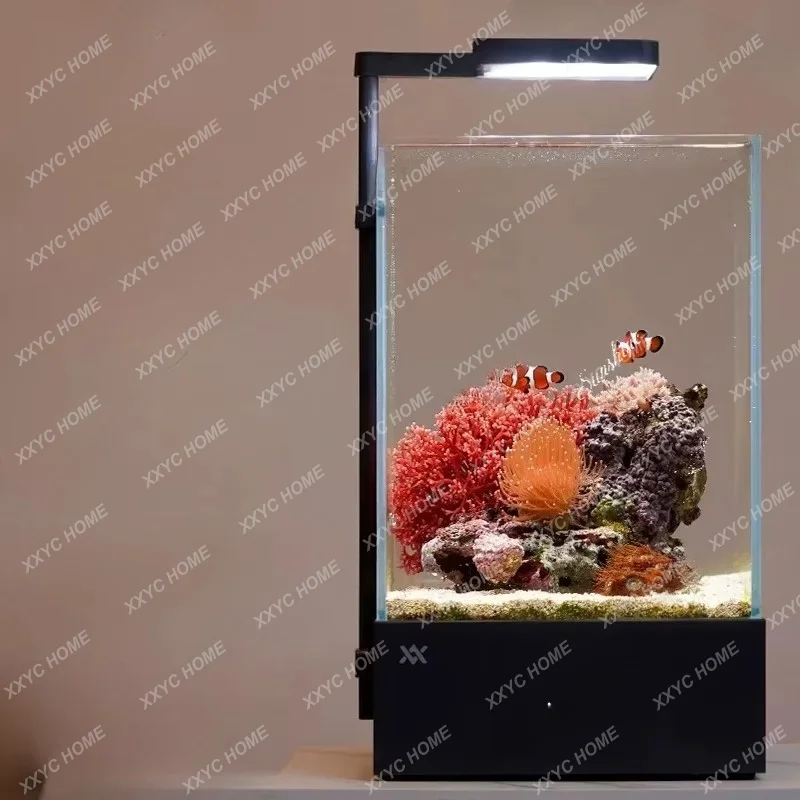 XXDesktop fish tank professional equipment integrated tank without pipe fittings air tank