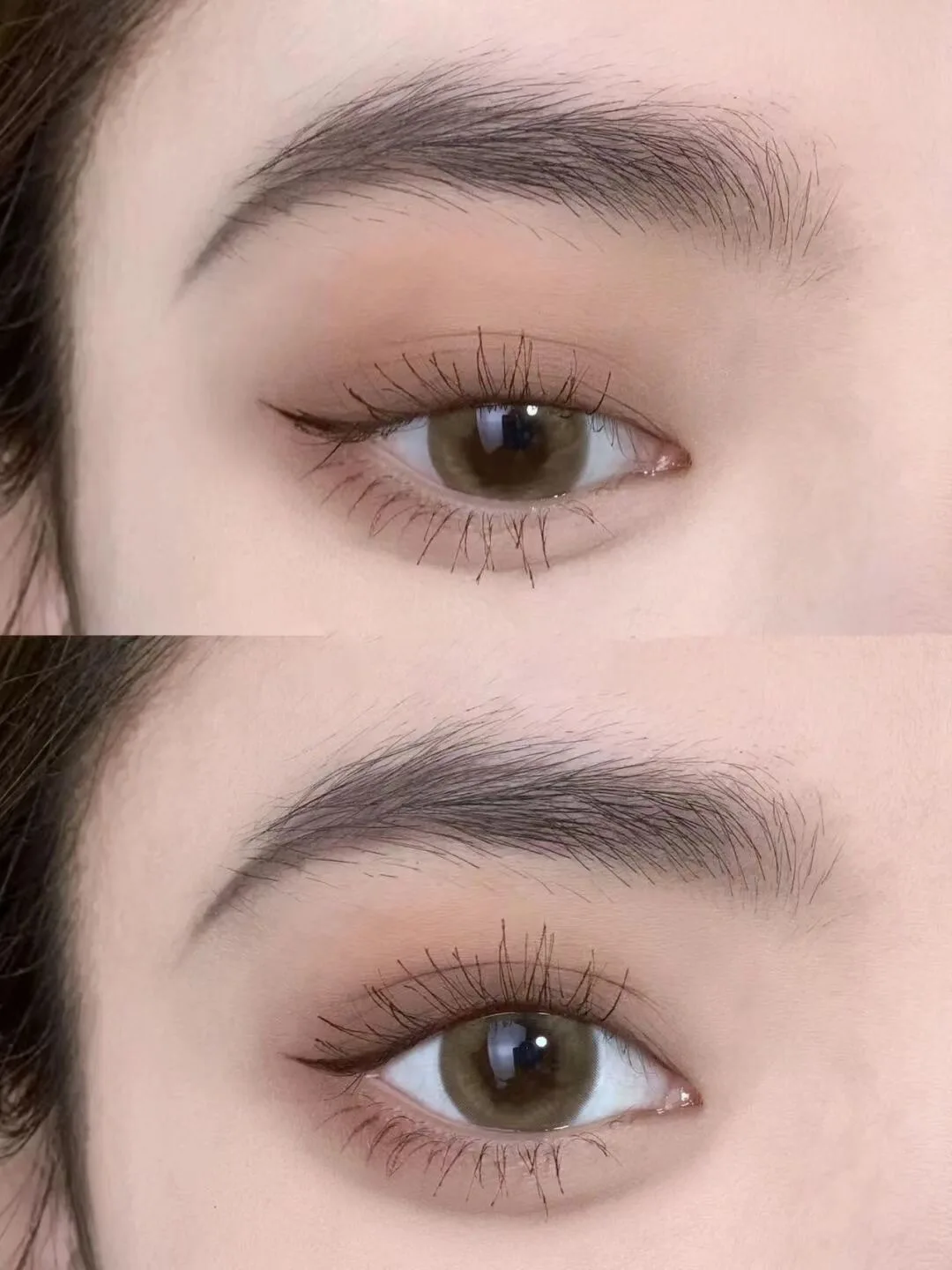 5-color Eyeshadow Palette, Matte Natural Tone, Brown Color Universal Tone Portable Eyeshadow Palette