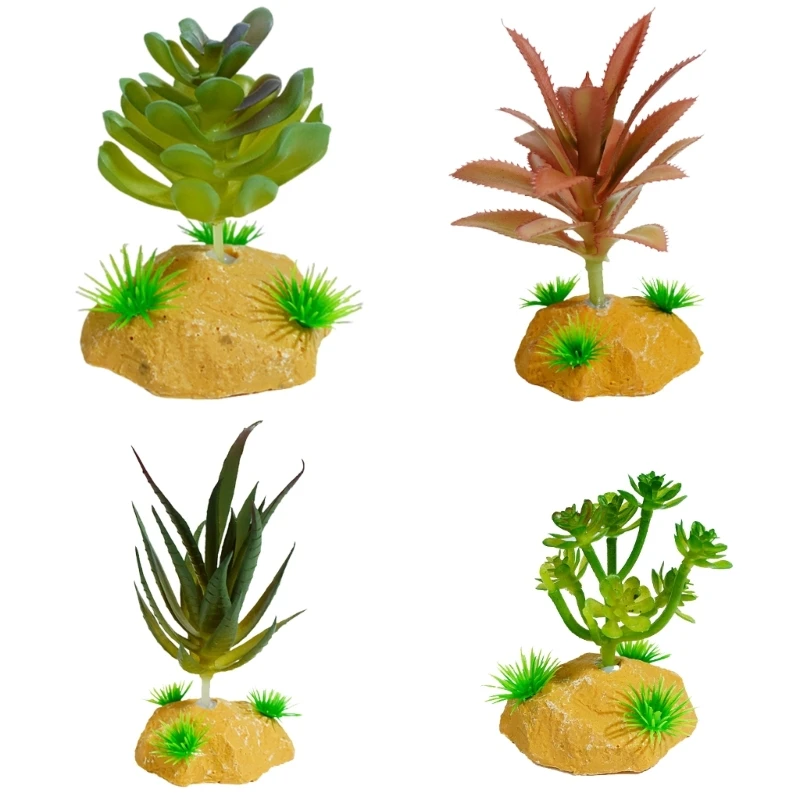 عشب نبات الزواحف للعصارة فرع ديكورات الموئل بأوراق السحالي والعناكب الأفعى ابن حزم رحمه الله مخابئ A2BB