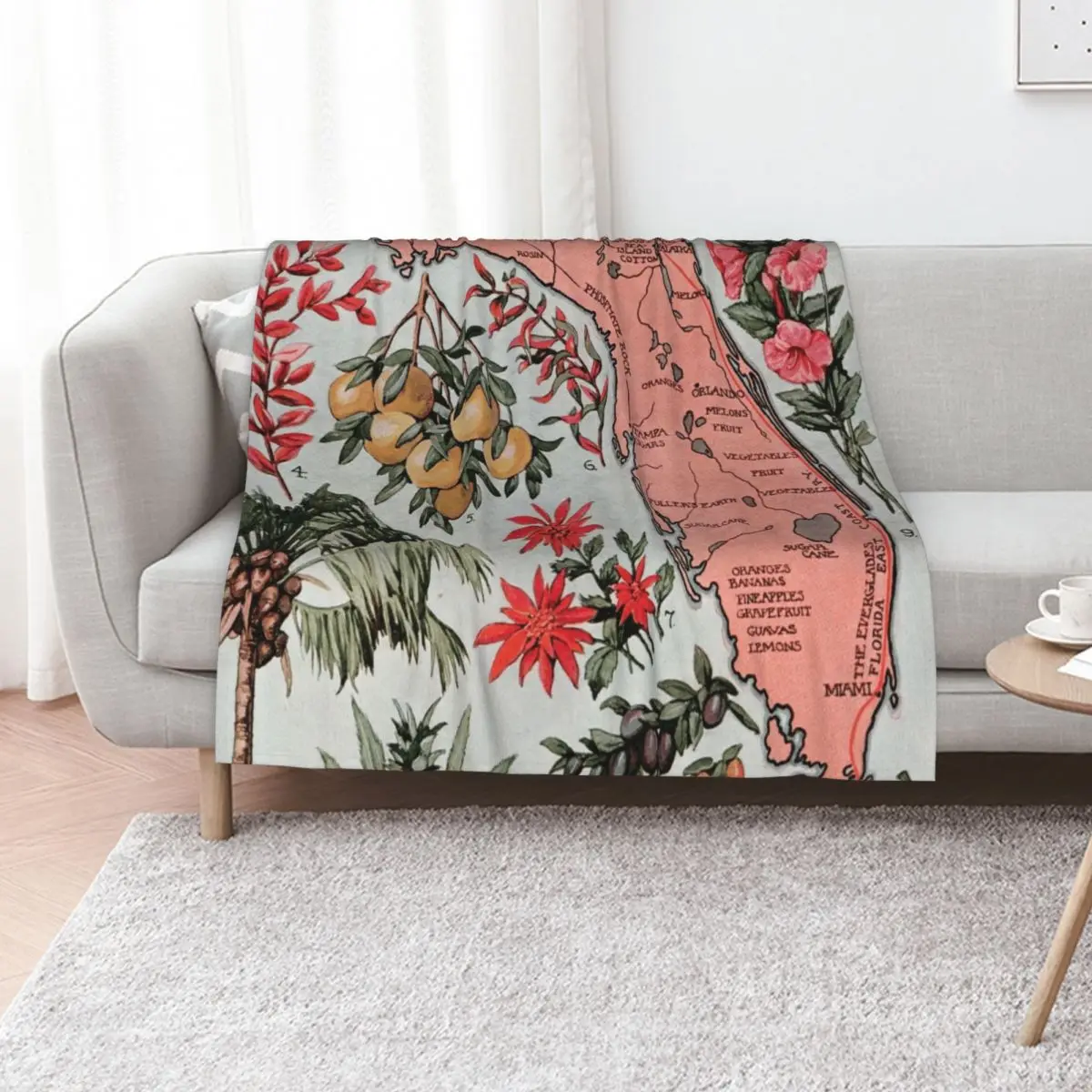 antique Map of Florida (1917) Throw Blanket Soft Plaid For Decorative Sofa Luxury Summer Beddings Flannel Fabric Travel Blankets