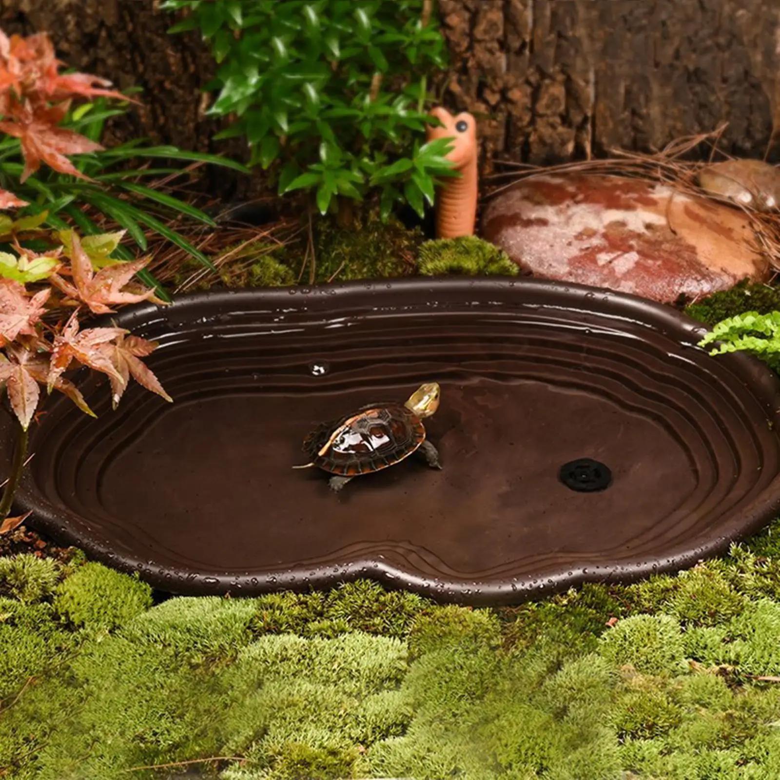 Plato de agua para tortugas y reptiles – Fácil de limpiar - imagen 4