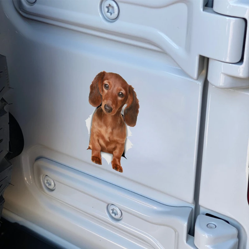 Pegatina decorativa de perro teckel de pelo largo marrón, adecuada para pared, coche, refrigerador, inodoro y otros usos generales.