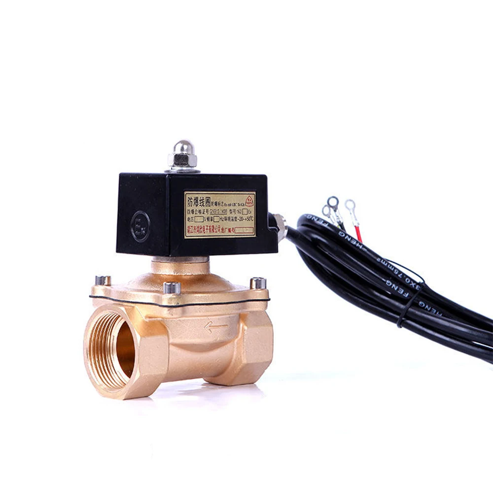 Brass Electric Solenoid Valve 1/4" 1/2" 3/4" 1" 2" Diameter 220VAC 24VDC 12VDC 24VAC 110VAC Explosion-Proof