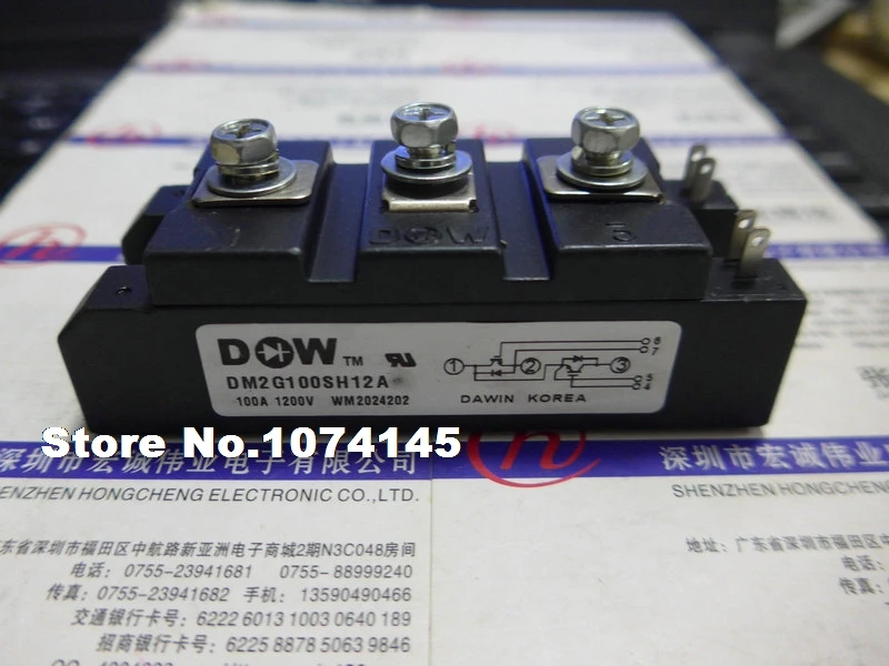 

DM2G100SH12A IGBT power module