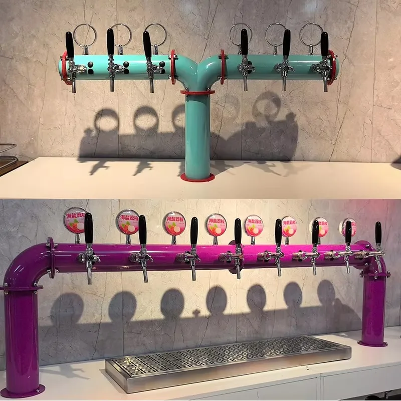 Professional Draft Beer Machine, Stainless Steel Housing, Adjustable Pressure, Kegerator for Home Bar and Commercial Use