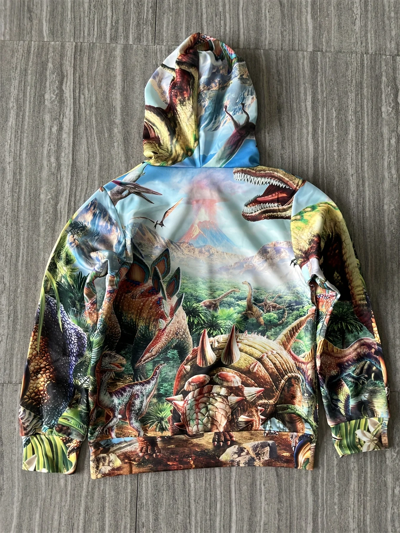 2023 New Dinosaur World Cartoon Print Youth Hoodie, Spring And Autumn Boys Long Sleeve Hooded Sweatshirt Kids Clothes