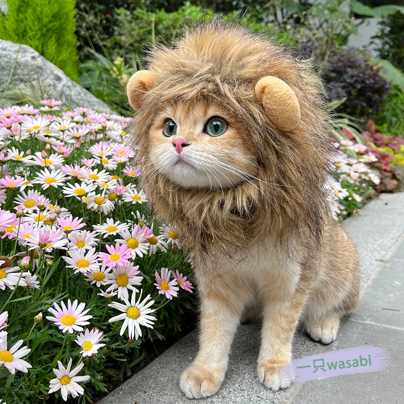 Halloween Cute Lion Headgear Cat Hat Mane Wig For Cat Small Dogs Pet Cat Decor Accessories Lion Wig Fancy Hair Cap Pet Supplies